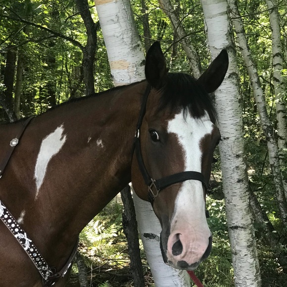 Meet your Posher, Morgan - Picture 1 of 1